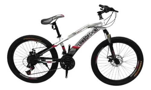 Bicicleta Mountain Bike Rodado 20 Lamborghini 21 Cambios Lh