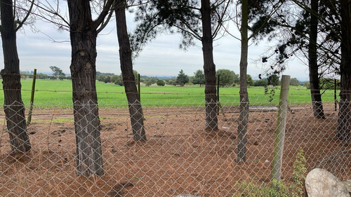 Santo Domingo Club Golf Las Brisas Estupenda