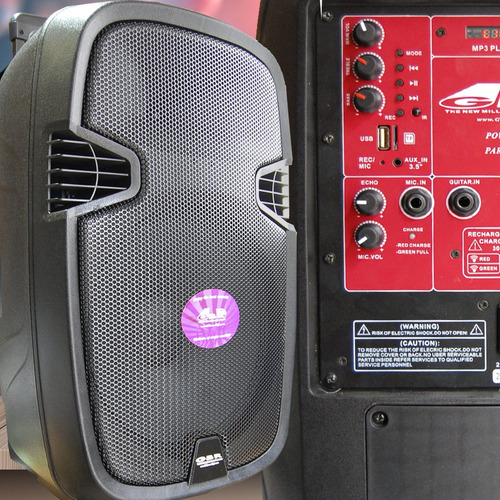 Bafle Potenciado 15'' Pl600 Bateria Bluetooth Usb 2 Micro In