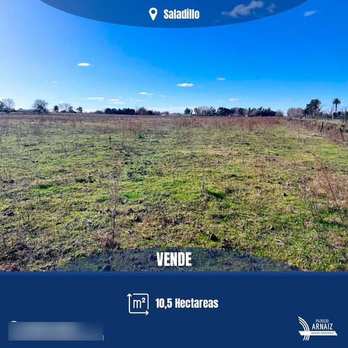 Se Vende Campo, Ideal Para Loteo En Saladillo. 