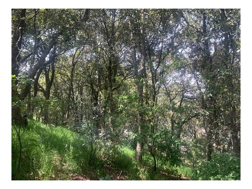 Imagen 9 de 15 de Terreno En Av.desierto De Los Leones