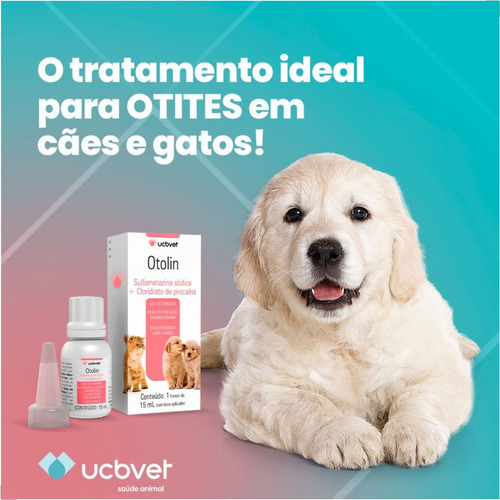Inflamação No Ouvido Do Cachorro Como Tratar Otolin 15ml