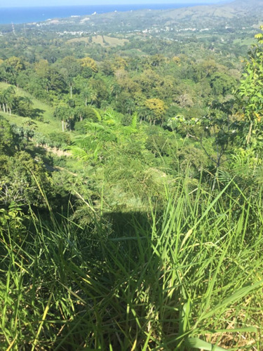 1504- Finca En Gaspar Hernández