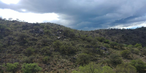 San Francisco Del Monte De Oro, Chacra 40 Hectareas Sobre Ruta , Escritura Inmediata