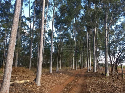 Imagem 3 de 6 de Venda De Rural / Chácara Na Cidade De Araraquara 10439