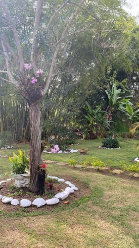 Venta Hermosa Parcela Cabaña Mesa De Los Santos