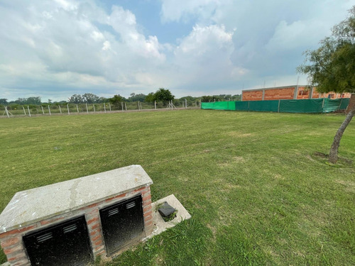 Imagen 5 de 6 de Lote En Pilar Del Este
