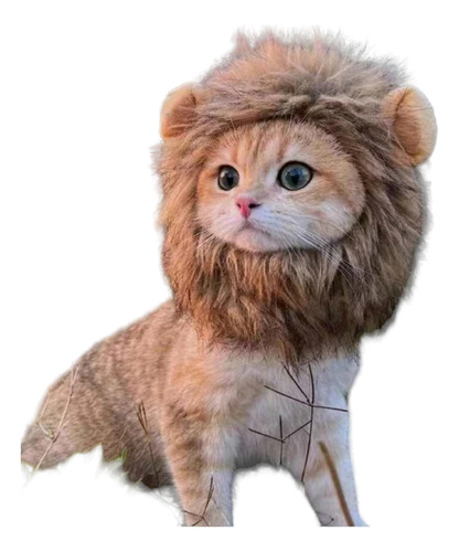 Peluca Para Mascotas Cabeza De Leon