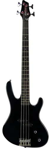 Washburn bt3 sale