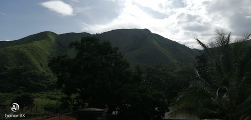 Imagen 3 de 24 de Se Vende Finca En Guayabita Turmero Estado Aragua/yessika Berrios 04249155109