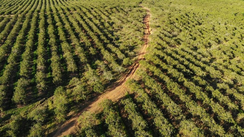 Te Vendo Hermosa Finca En Hato Mayor