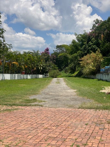 Alquiler Terreno 15.000 M2 La Guairita El Cafetal