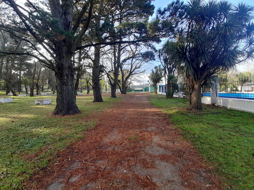 Venta De Camping - Ruta 226