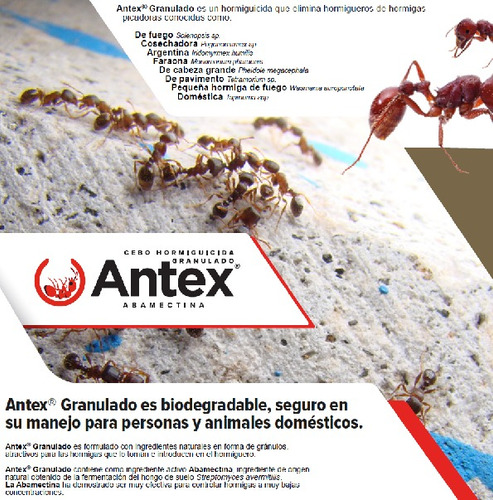 Antex Cebo Granulado Hormiguicida 227g