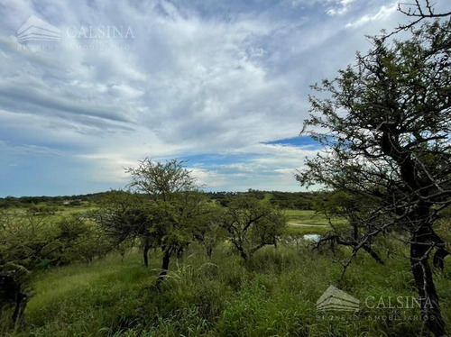 Imagen 8 de 8 de Terreno - Estancia El Terrón