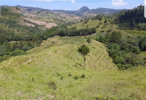 Finca De 537 Tareas Con Rio Y Cañada En Jarabacoa Para Proyecto Residencial O Proyecto Ganadero 