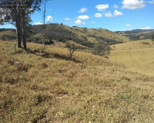 Imagem 23 de 30 de Fazenda - Fa00043 - 70710454
