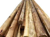 Comprar Postes De Eucaliptus Natural Troncos De Eucaliptus 