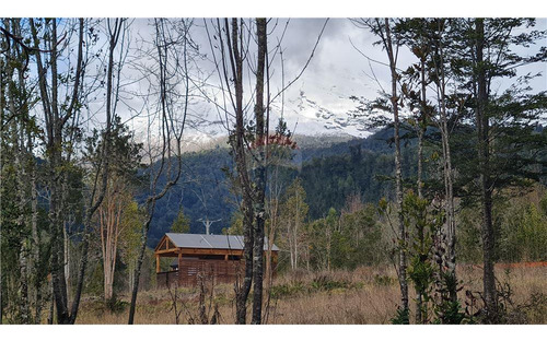 Parcela Con Bosque Nativo En Puerto Varas