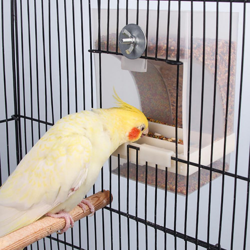 Comedero Para Pájaros Transparente Y Automático Para Semilla