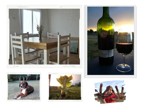 Imagen 5 de 6 de Cabaña Malbec En Finca De 4 Hectáreas