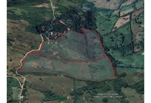 Vendo Finca De 30 Cuadras En Damasco Para Ganadería Cerca La Pintada