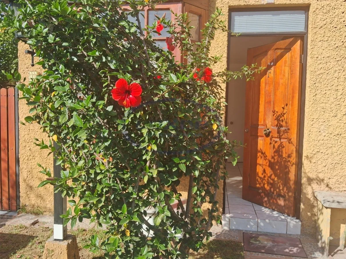Imagen 4 de 21 de Casa Impecable Recien Pintada En Pasaje Cerrado