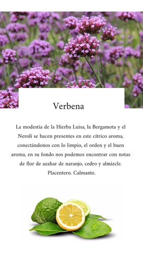 Fragancia Textil Aromatizador De Ambientes 500ml