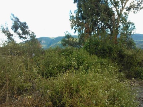 Imagen 11 de 30 de Terrenos En Venta Sanare Andres Eloy Blanco 22-21671 #m