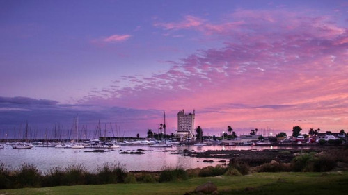 Venta Local Comercial Con Renta En Montevideo