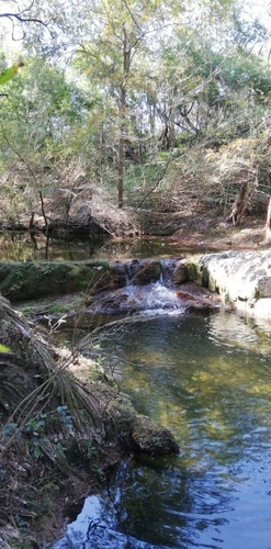 Imagen 12 de 14 de Terreno En Venta, Azahar, Montemorelos