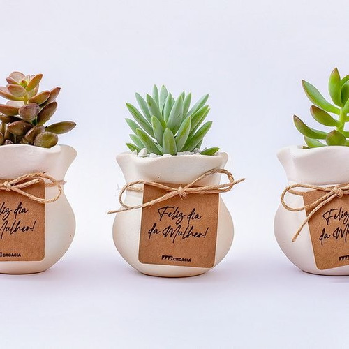 Imagen 10 de 10 de Regalos, Plantas Cactus Suculentas, Matrimonios Bautizo Misa