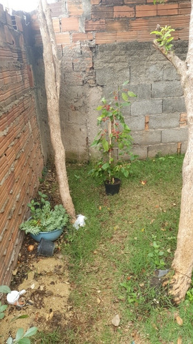 Imagem 1 de 1 de Manutencao