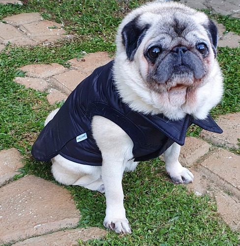 Imagem 4 de 9 de Roupa Cachorro/ Gato Inverno Frio Casaco Nylon Dublado Preto