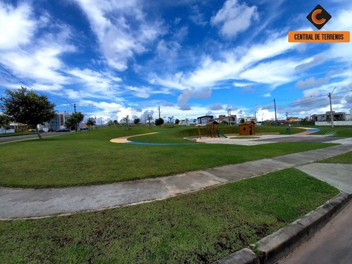 Imagem 15 de 28 de Terreno No Terras Alphaville - Te00271 - 34401629
