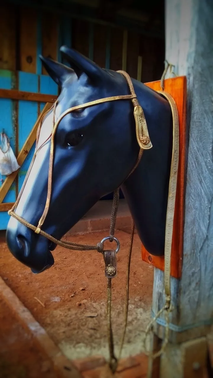 Buçal com Cabresto para cavalos