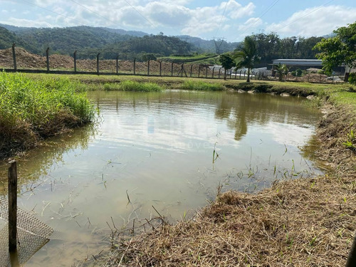 Imagem 14 de 25 de Casa À Venda No Bairro Pomerânia - Guabiruba/sc - 2043