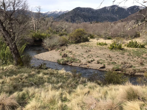 Terreno 5.000 M2 Orilla De Río Caracoles, Malalcahuello