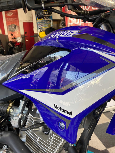 Imagen 3 de 15 de Motomel Skua 150 V6