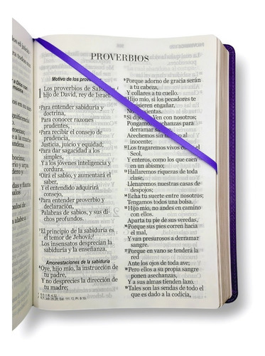 Imagen 4 de 10 de Biblia Letra Supergigante Valera 1960 Morado Con Estudios