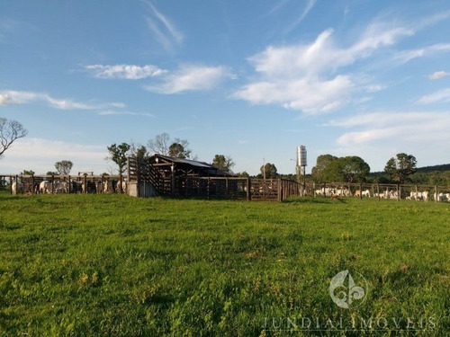 Imagem 2 de 30 de Vendo Ótima Fazenda Com 2337,00 Ha Em Buritizeiro, Norte De Minas Gerais, Gado E Cultura, Muita Água, Toda Formada. Documentação Ok. - Fa00004 - 4483814