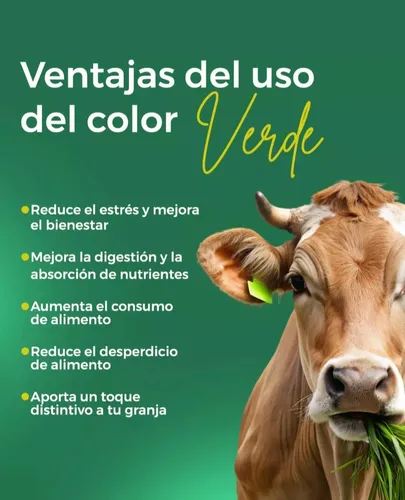 Comederos Para Ganado