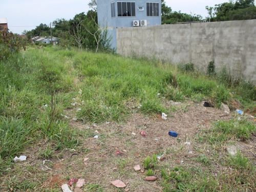 Imagem 5 de 10 de Terreno - Te00024 - 68718693
