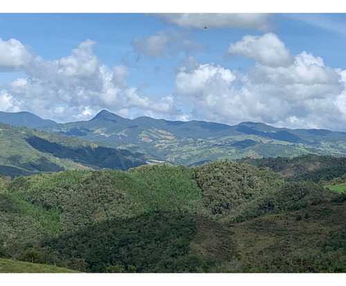 Venta De Finca En Abejorral