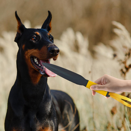 Juguete Masticable Para Perros, Palo Interactivo Amarillo