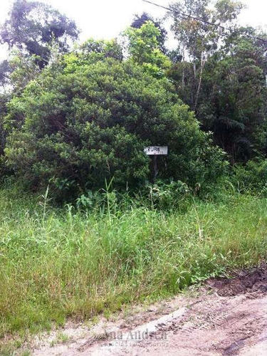 Imagem 11 de 11 de Terreno A Venda Em Peruíbe - 710-1