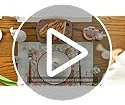 Juego De 4 Individuales De Pascua Con Diseño De Conejo Cone