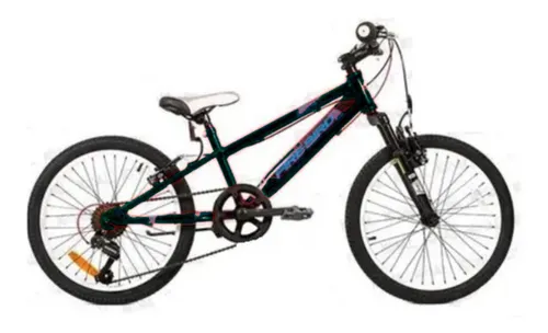 Bicicleta Fire Bird Mountain Bike Rodado 20 7 Velocidades