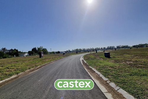 Imagen 3 de 18 de Lote En Vente En Santa Elisa Pilar Del Este