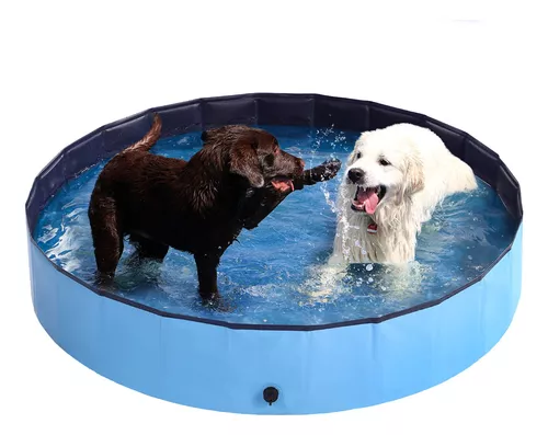 Piscina plegable de plástico duro para niños, 70.8 x 12 pulgadas, piscina  portátil de PVC para perros, para interiores y exteriores, bañera plegable